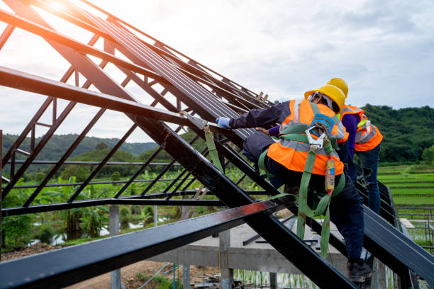 Best Roof Gutter Cleaning  in Atlanta, TX