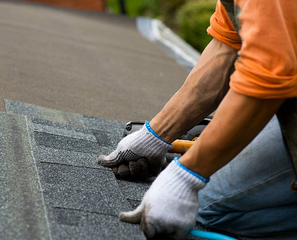 Roof Gutter Cleaning in Atlanta, TX